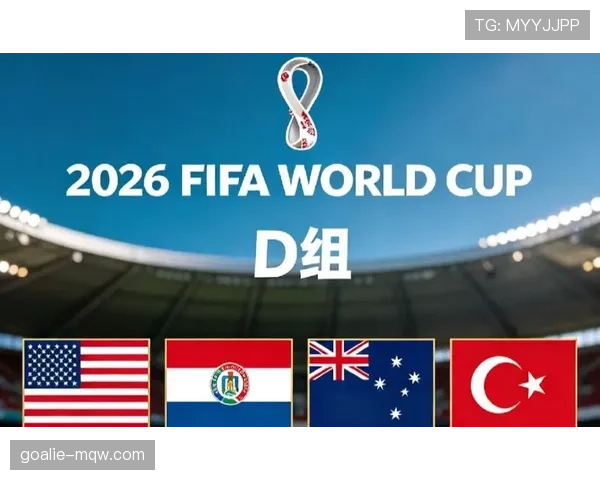 世界杯美国队D组专题全景分析